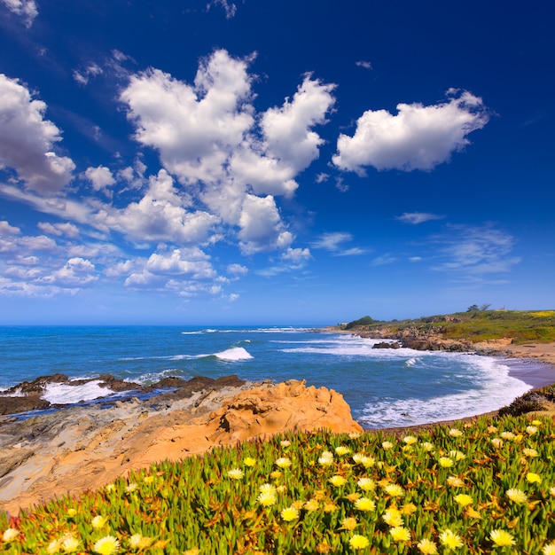 California Bean Hollow State-Strand in Cabrillo Hwy