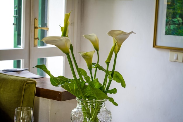 Calla-Lilien in einem Wohnzimmer