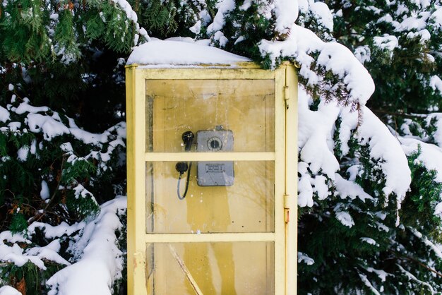 Callbox retro vintage en el parque de la ciudad de invierno, paisaje nevado