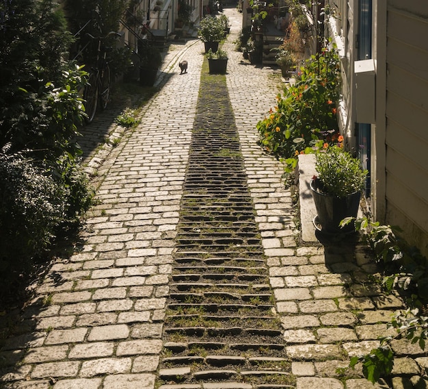 Calle adoquinada en Bergen Noruega