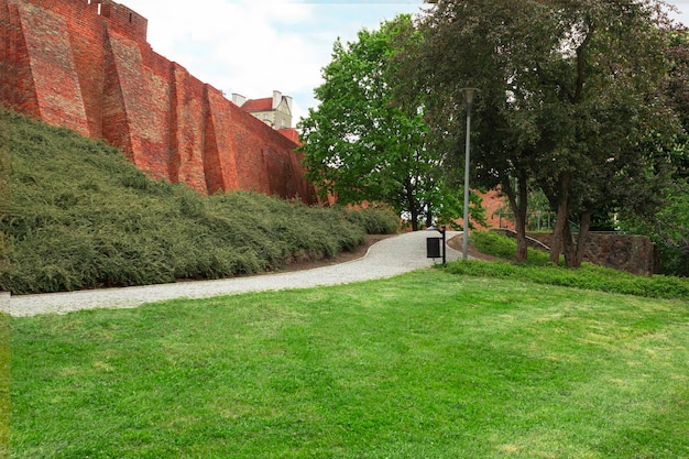 Foto calle adoquinada del casco antiguo con árboles verdes contra el fondo de la muralla del castillo calle de la ciudad en el centro del casco antiguo con una muralla roja