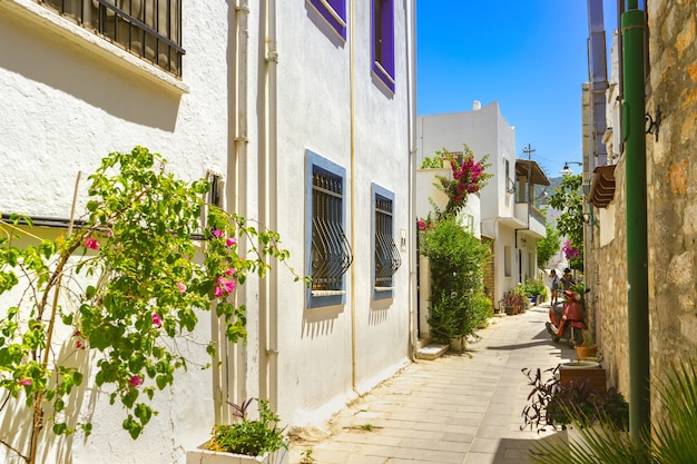 Calle angosta en el casco antiguo de bodrum turquía hermosas casas antiguas blancas con flores