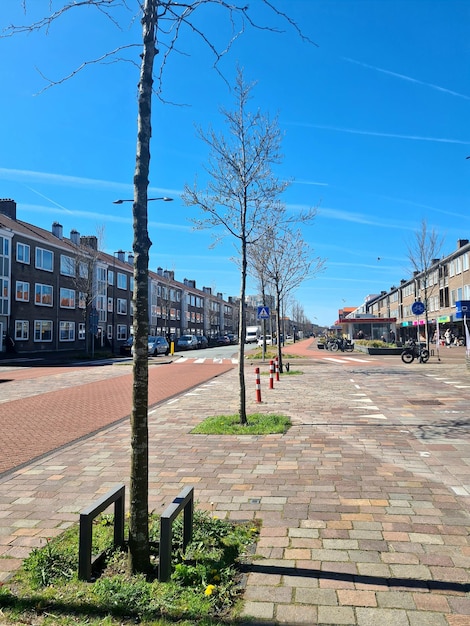 Una calle con un árbol delante.