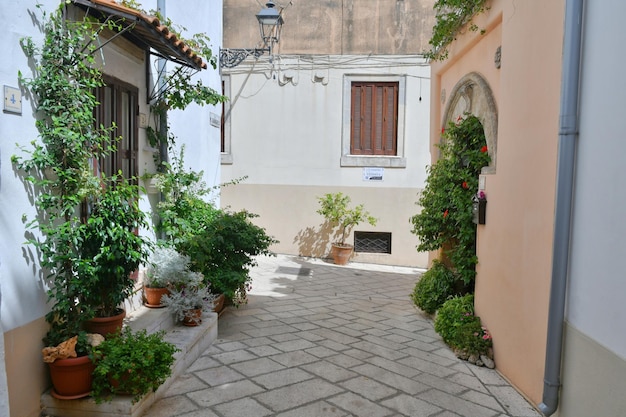 Una calle característica de Ruffano, un antiguo pueblo en la provincia de Lecce, Italia
