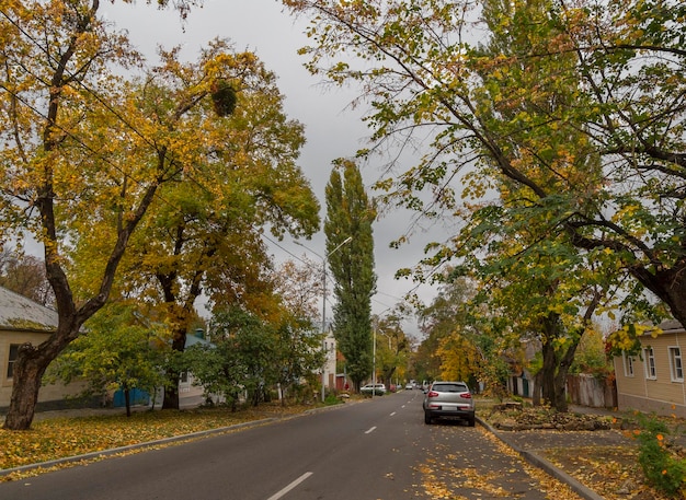 Foto calle del casco antiguo en tiempo nublado de otoño en la ciudad de stavropol rusia