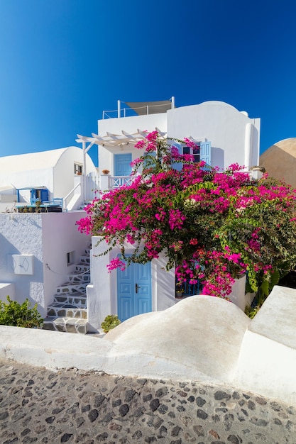 Calle cicládica tradicional de Santorini con flores en verano Santorini Oia street Grecia