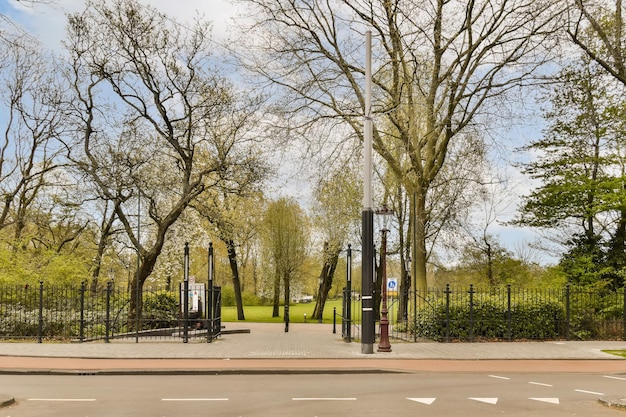 Una calle de la ciudad con un parque y árboles.