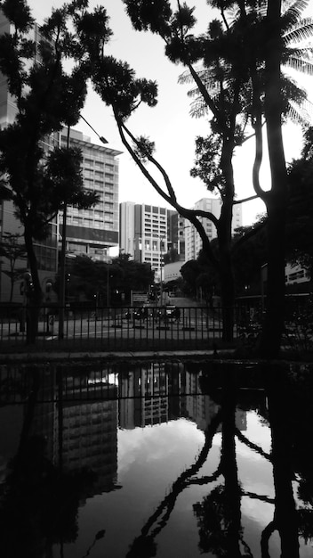 Foto una calle de la ciudad con un reflejo de los edificios en el agua