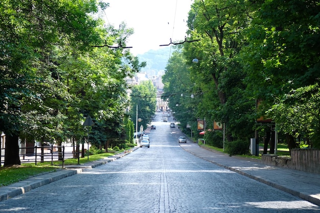 Calle de la ciudad verde