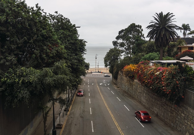 Calle con coches y árboles alrededor y el mar de fondo en Perú