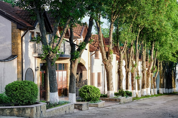 Calle en Cojusna, Moldavia