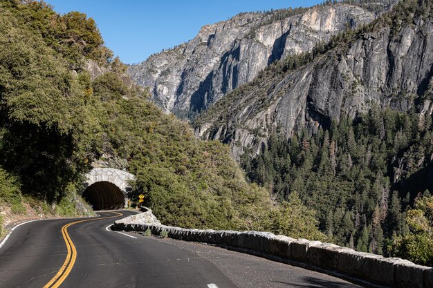 Calle con curvas en Yosemite NP