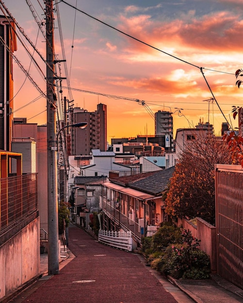 Foto una calle con un edificio al fondo.