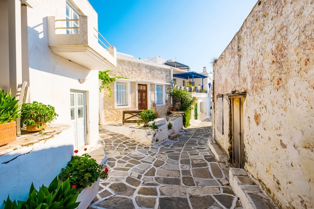 Calle estrecha con casas de piedra en el pueblo de Lefkes