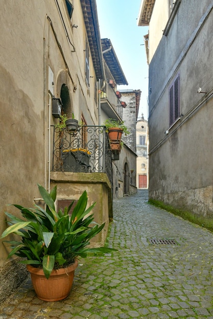 Una calle estrecha en el centro histórico de Patrica, un antiguo pueblo en Lazio, Italia.