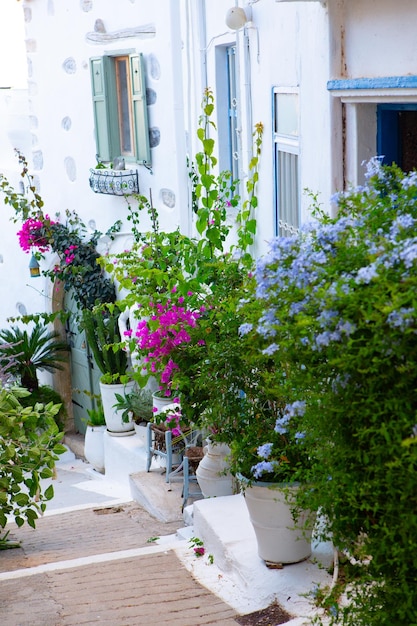 Calle estrecha y colorida en el pueblo de Kritsa en la isla de Creta