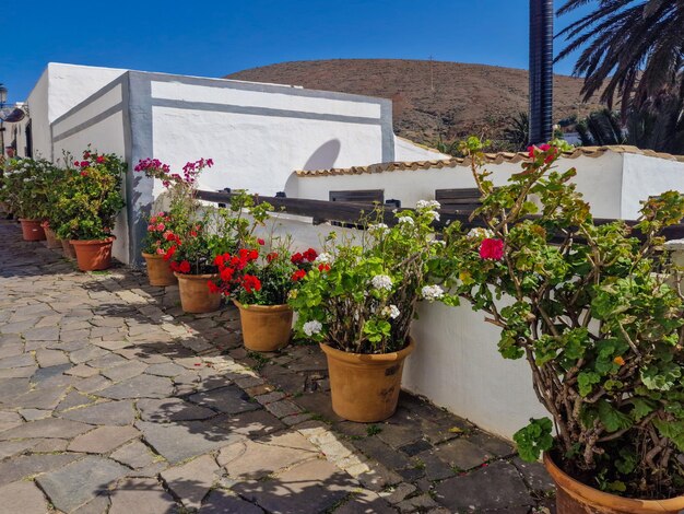 Calle estrecha de Fuerteventura con flores en macetas