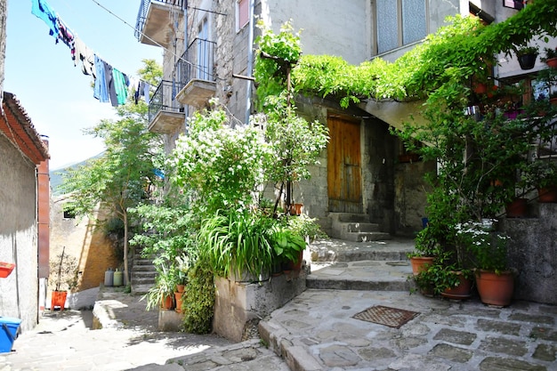 Foto una calle estrecha entre las viejas casas de marsicovetere, un pueblo en basilicata, italia