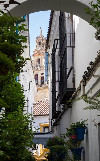 Calle de las Flores en Córdoba en España