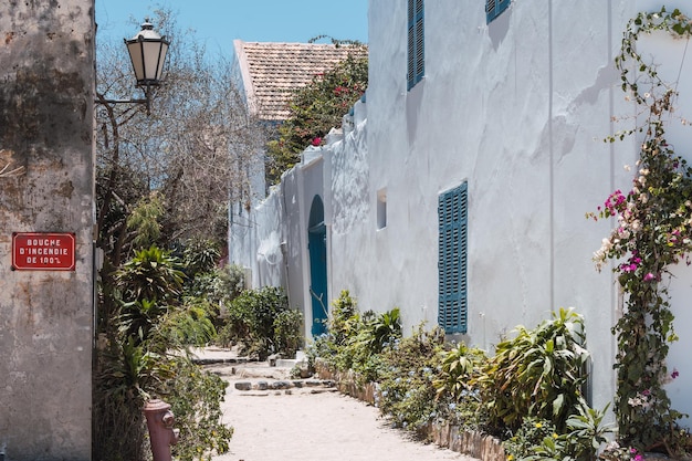 Foto calle con flores y macetas gore island senegal