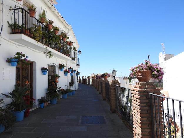 Una calle con flores