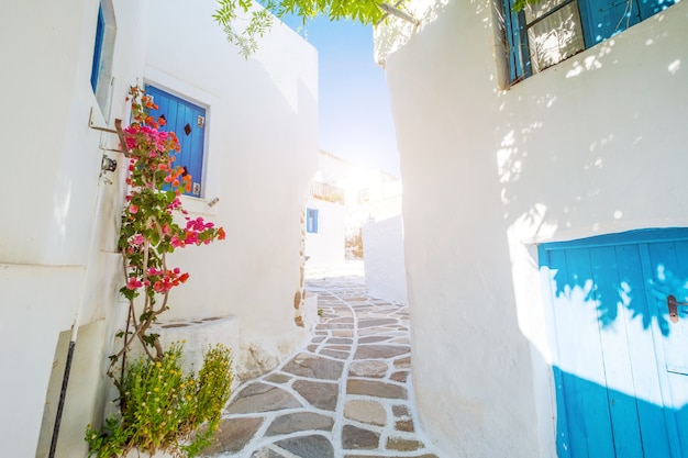 Calle con hermosas flores de buganvillas rosas y paredes de la casa blanca. Colorida calle griega en Lefkes, isla de Paros