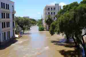 Foto una calle inundada con árboles y un edificio en el fondo