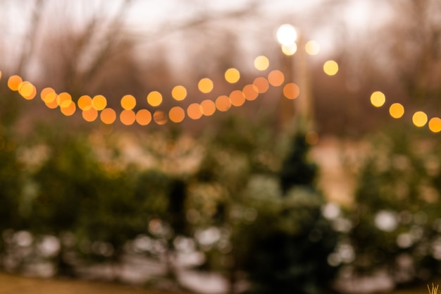 Foto calle de invierno de navidad con árbol e iluminación festiva bokeh