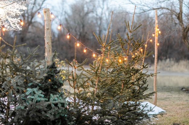 Calle de invierno navideña con árboles e iluminación festiva.