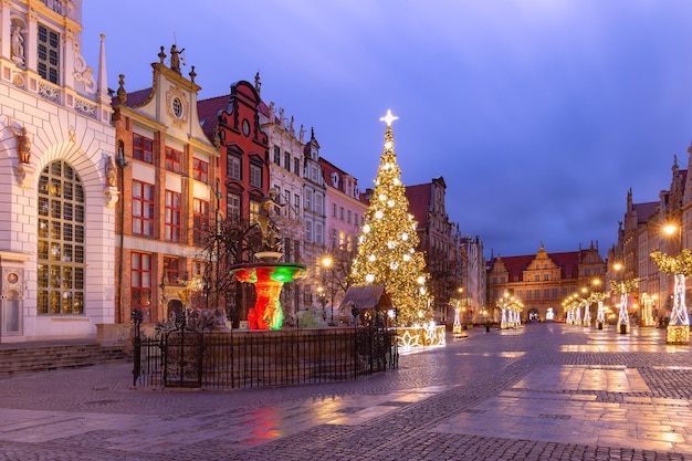 Calle larga con fuente de neptuno y árbol de navidad en el casco antiguo de gdansk, polonia