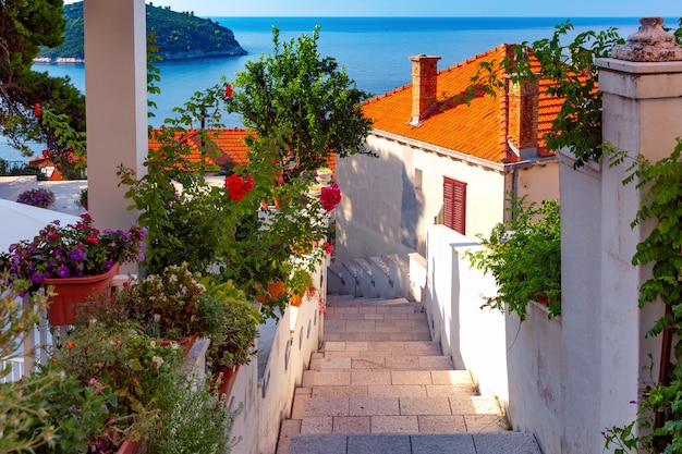 Calle medieval con escaleras y macetas en la famosa ciudad europea de Dubrovnik en un día soleado.