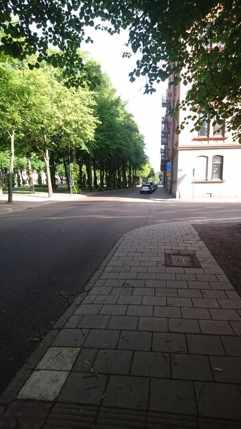 Foto calle en medio de árboles en la ciudad