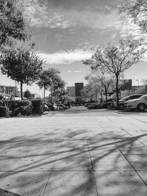 Foto la calle en medio de los árboles contra el cielo