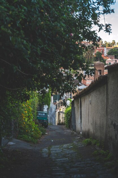 Foto la calle en medio de los árboles