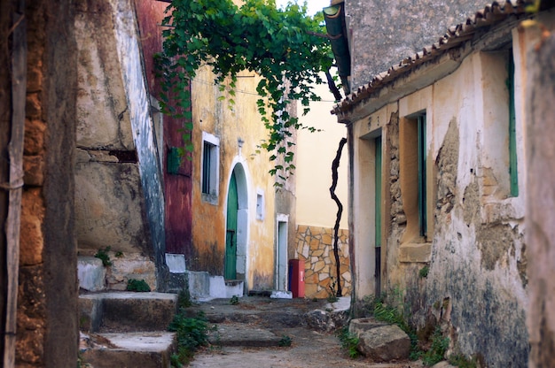 Foto calle en medio de los edificios de la ciudad.