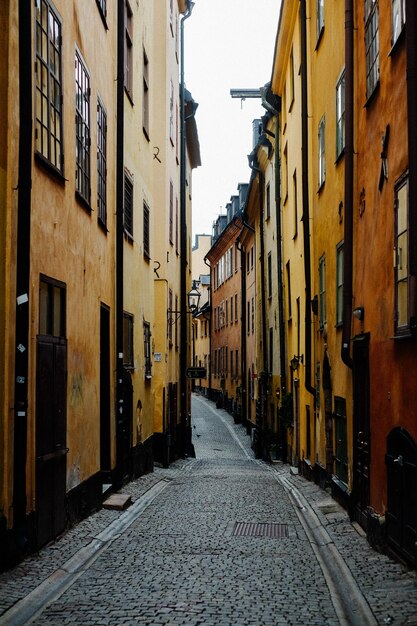 Calle en medio de edificios en la ciudad