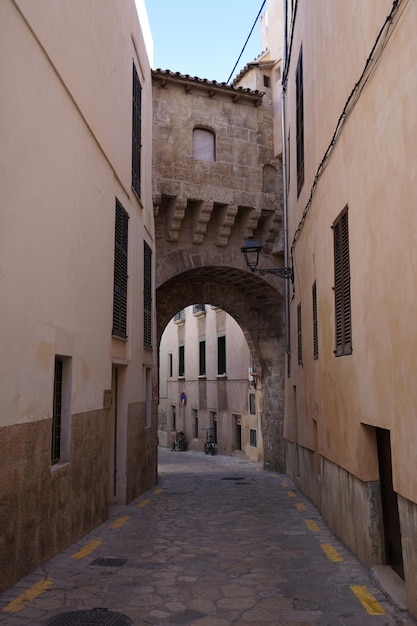 Calle en medio de edificios en la ciudad