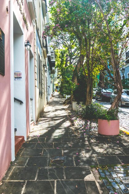 Foto calle en medio de edificios en la ciudad