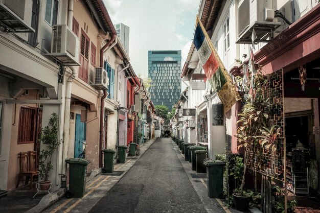 Calle en medio de edificios