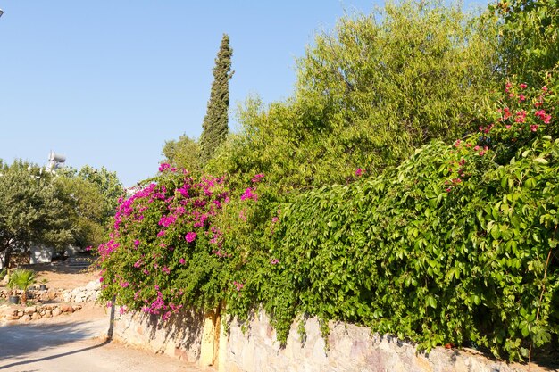 Calle en Old Datca Mugla Turquía