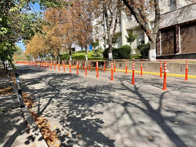 calle de otoño en la ciudad