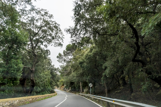 calle rústica, macetas en la isla turística de Mallorca, ciudad de Valdemosa en España