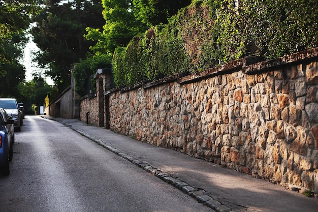 Calle soleada que se extiende hacia la pared de textura de distancia con arbustos verdes