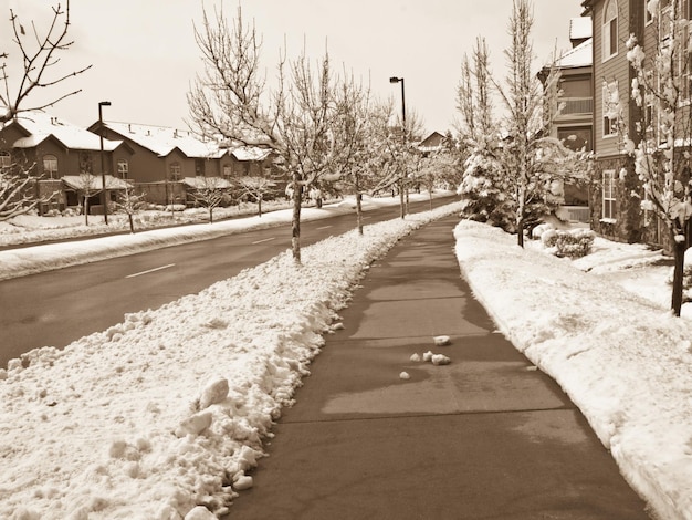 Calle urbana en invierno.