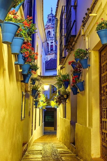 Calleja de las Flores con plantas y macetas al anochecer en la pintoresca ciudad de Córdoba España.