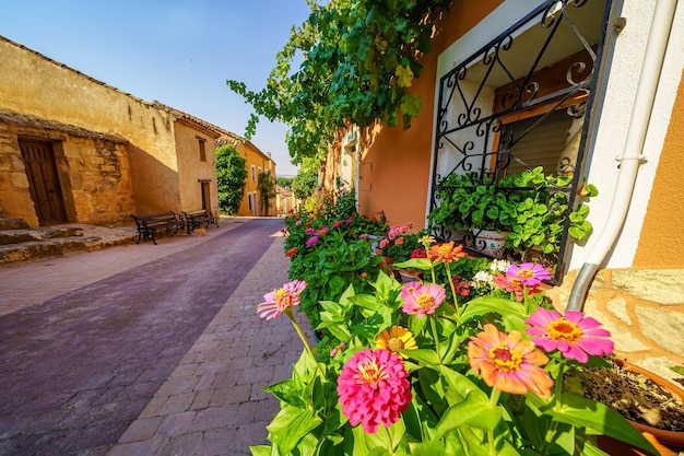 Callejón con antiguas casas de piedra y macetas con flores de múltiples colores Castilla Leon Soria