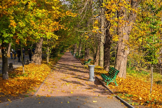 Callejón en el arboreto Sofievsky o Parque Sofiyivsky en Uman, Ucrania, en un soleado día de otoño