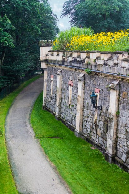 Callejón cerca del castillo que conduce al bosque