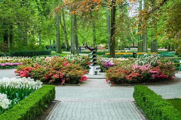 Callejón entre coloridos tulipanes Keukenhof Park Lisse en Holanda