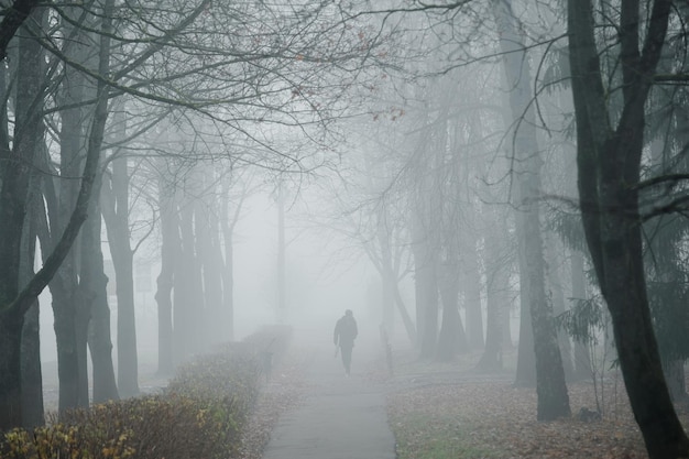 Un callejón desierto en Obninsk a finales del otoño en la niebla.